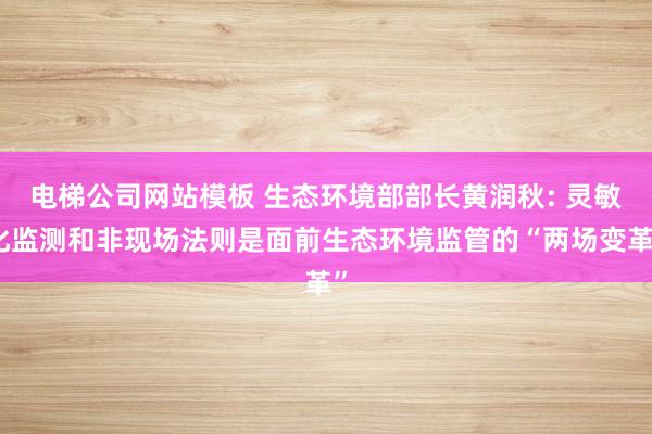 电梯公司网站模板 生态环境部部长黄润秋: 灵敏化监测和非现场法则是面前生态环境监管的“两场变革”