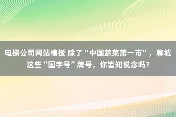 电梯公司网站模板 除了“中国蔬菜第一市”，聊城这些“国字号”牌号，你皆知说念吗？