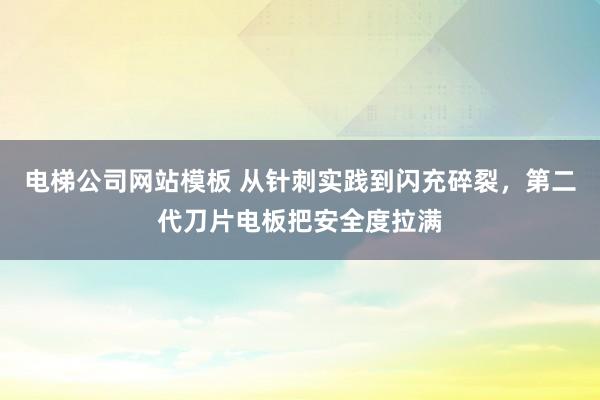 电梯公司网站模板 从针刺实践到闪充碎裂，第二代刀片电板把安全度拉满