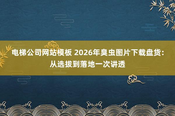 电梯公司网站模板 2026年臭虫图片下载盘货：从选拔到落地一次讲透