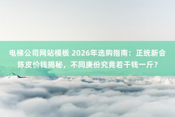 电梯公司网站模板 2026年选购指南：正统新会陈皮价钱揭秘，不同庚份究竟若干钱一斤？