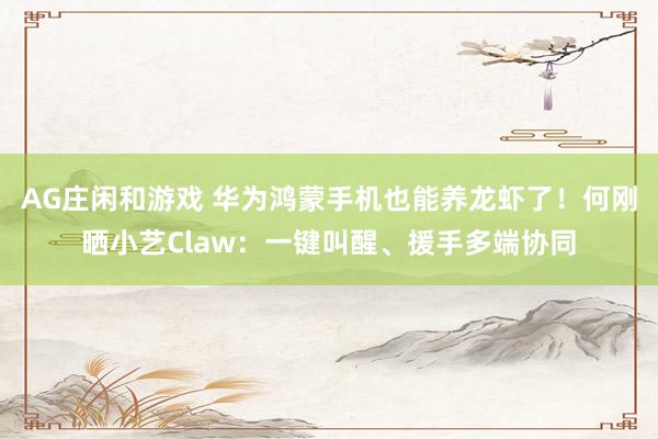 AG庄闲和游戏 华为鸿蒙手机也能养龙虾了！何刚晒小艺Claw：一键叫醒、援手多端协同