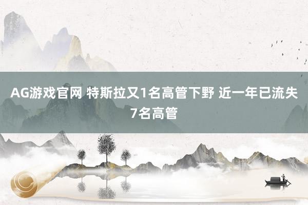 AG游戏官网 特斯拉又1名高管下野 近一年已流失7名高管