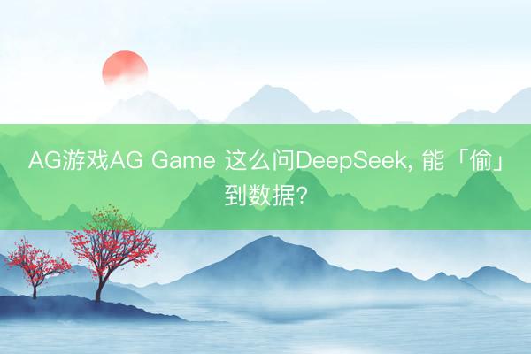 AG游戏AG Game 这么问DeepSeek， 能「偷」到数据?
