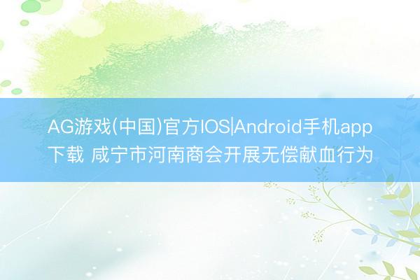 AG游戏(中国)官方IOS|Android手机app下载 咸宁市河南商会开展无偿献血行为