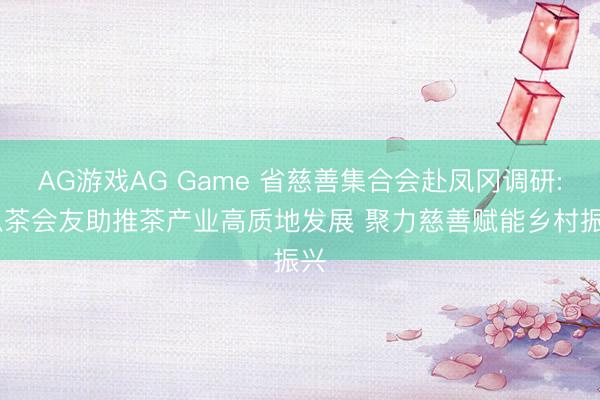 AG游戏AG Game 省慈善集合会赴凤冈调研: 以茶会友助推茶产业高质地发展 聚力慈善赋能乡村振兴