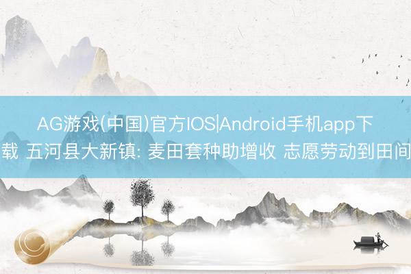 AG游戏(中国)官方IOS|Android手机app下载 五河县大新镇: 麦田套种助增收 志愿劳动到田间