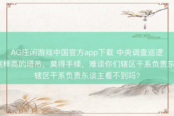 AG庄闲游戏中国官方app下载 中央调查巡逻组马上降低：这样高的塔吊，莫得手续，难谈你们辖区干系负责东谈主看不到吗？