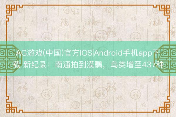 AG游戏(中国)官方IOS|Android手机app下载 新纪录：南通拍到漠䳭，鸟类增至437种