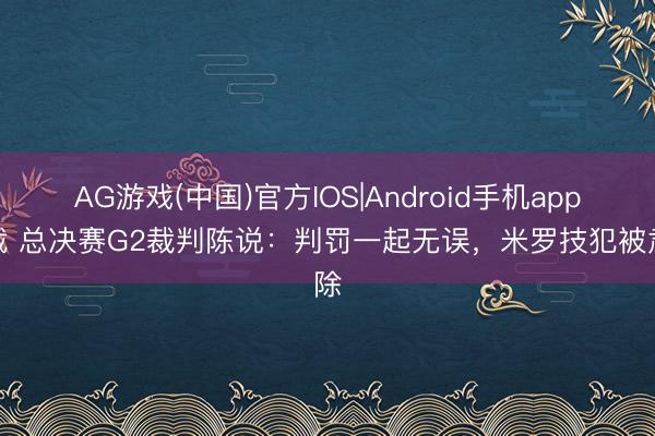 AG游戏(中国)官方IOS|Android手机app下载 总决赛G2裁判陈说：判罚一起无误，米罗技犯被肃除