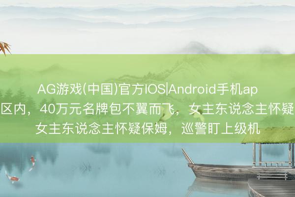 AG游戏(中国)官方IOS|Android手机app下载 上海一高级小区内，40万元名牌包不翼而飞，女主东说念主怀疑保姆，巡警盯上级机